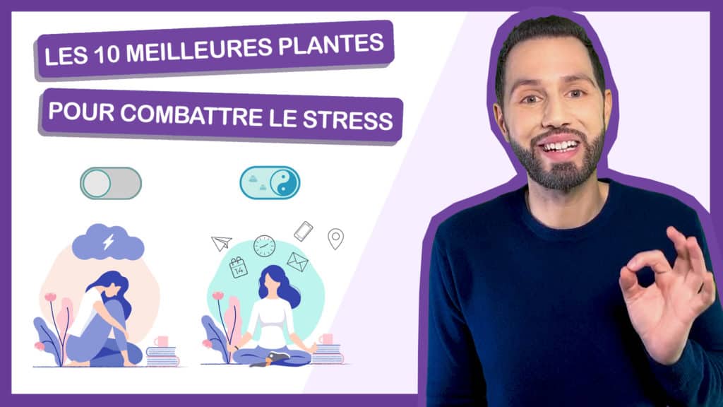 Combattre le stress naturellement avec les meilleures plantes anti-stress