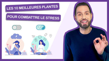 Comment combattre le stress naturellement ? 10 puissantes plantes