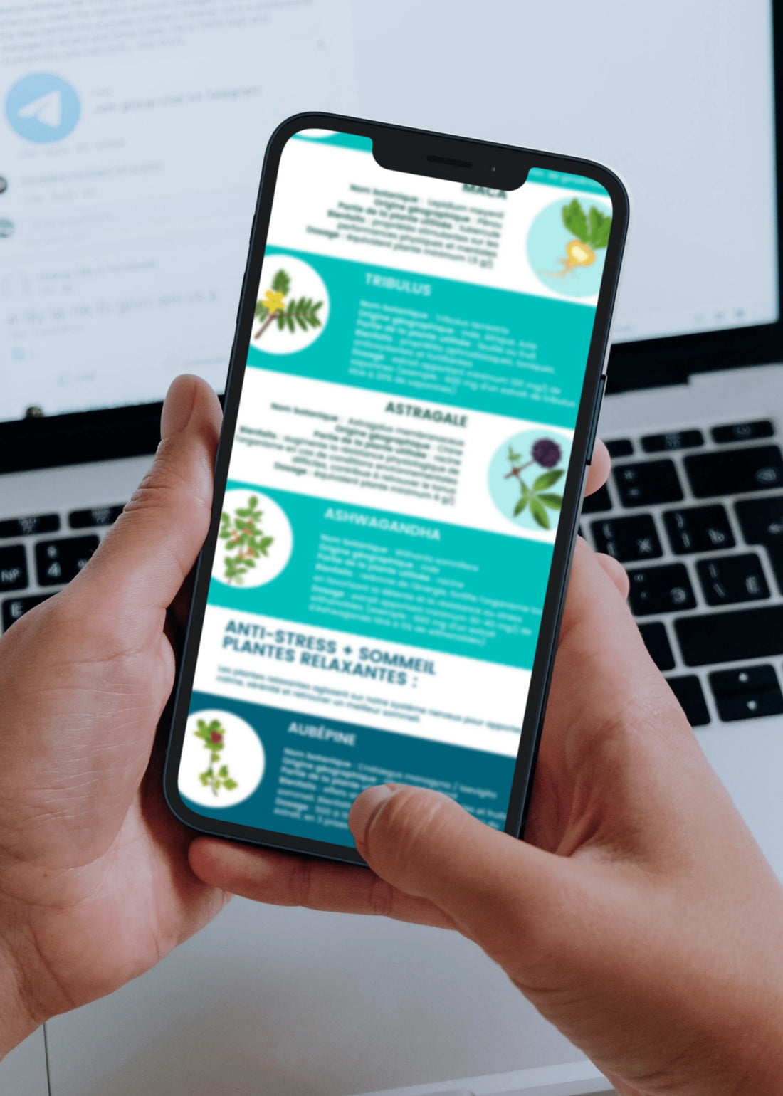 Infographie 10 Plantes Anti Stress