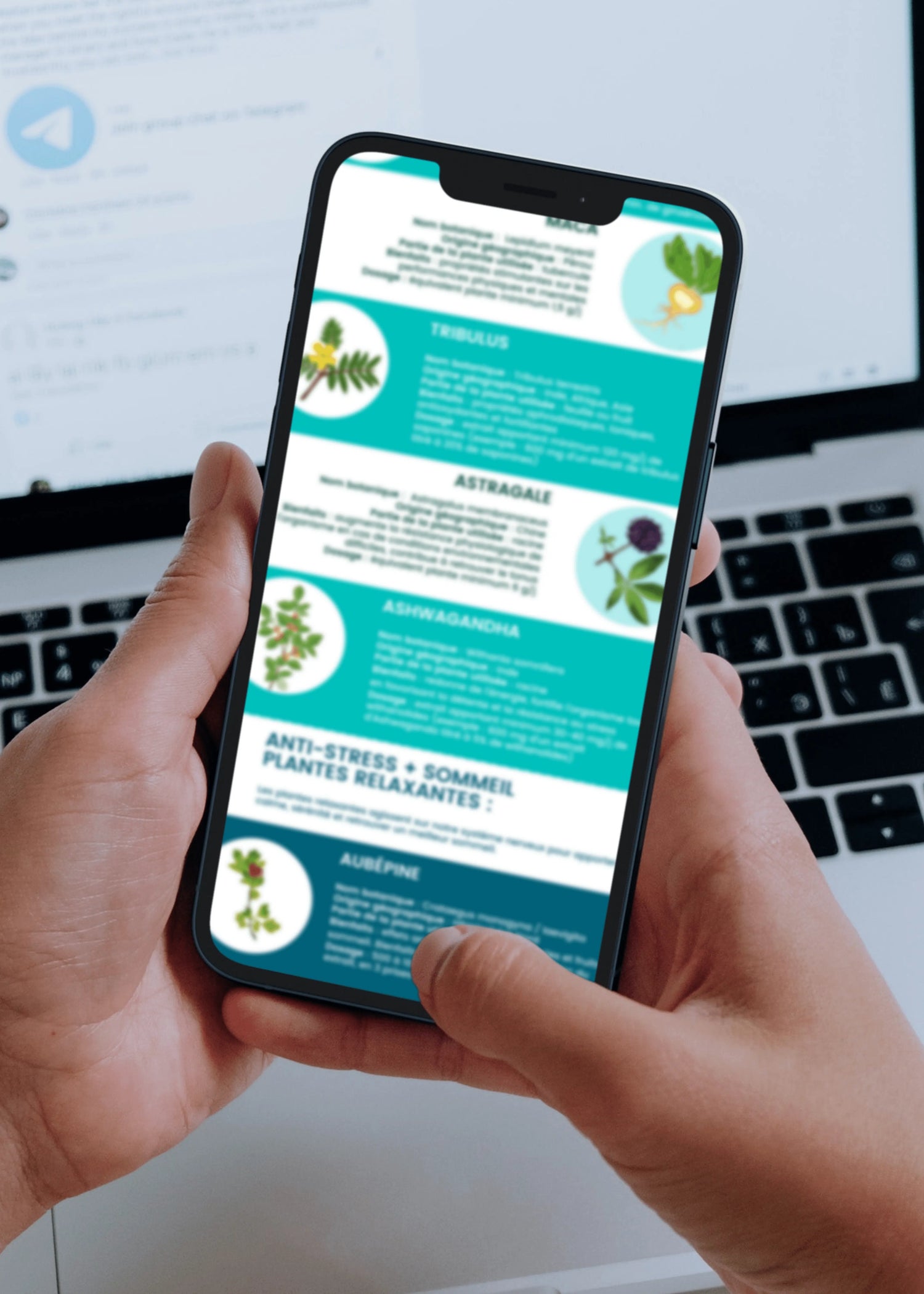 Infographie 10 Plantes Anti Stress