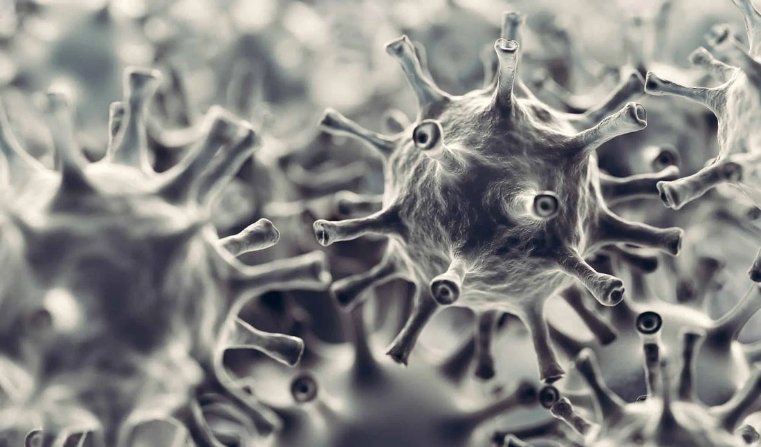Coronavirus cells infection. Virus Covid-19