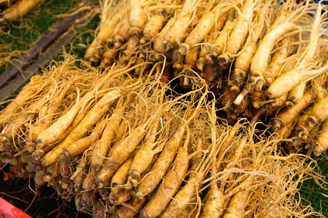 Ces racines fraîches de ginseng constituent-elles un danger pour la santé ?