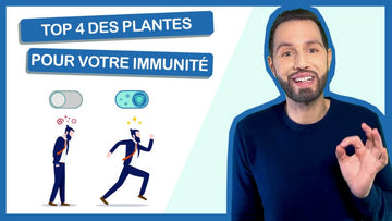 Top 4 des plantes qui boostent vos défenses immunitaires