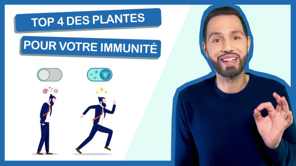 top 4 des plantes qui boostent les défenses immunitaires