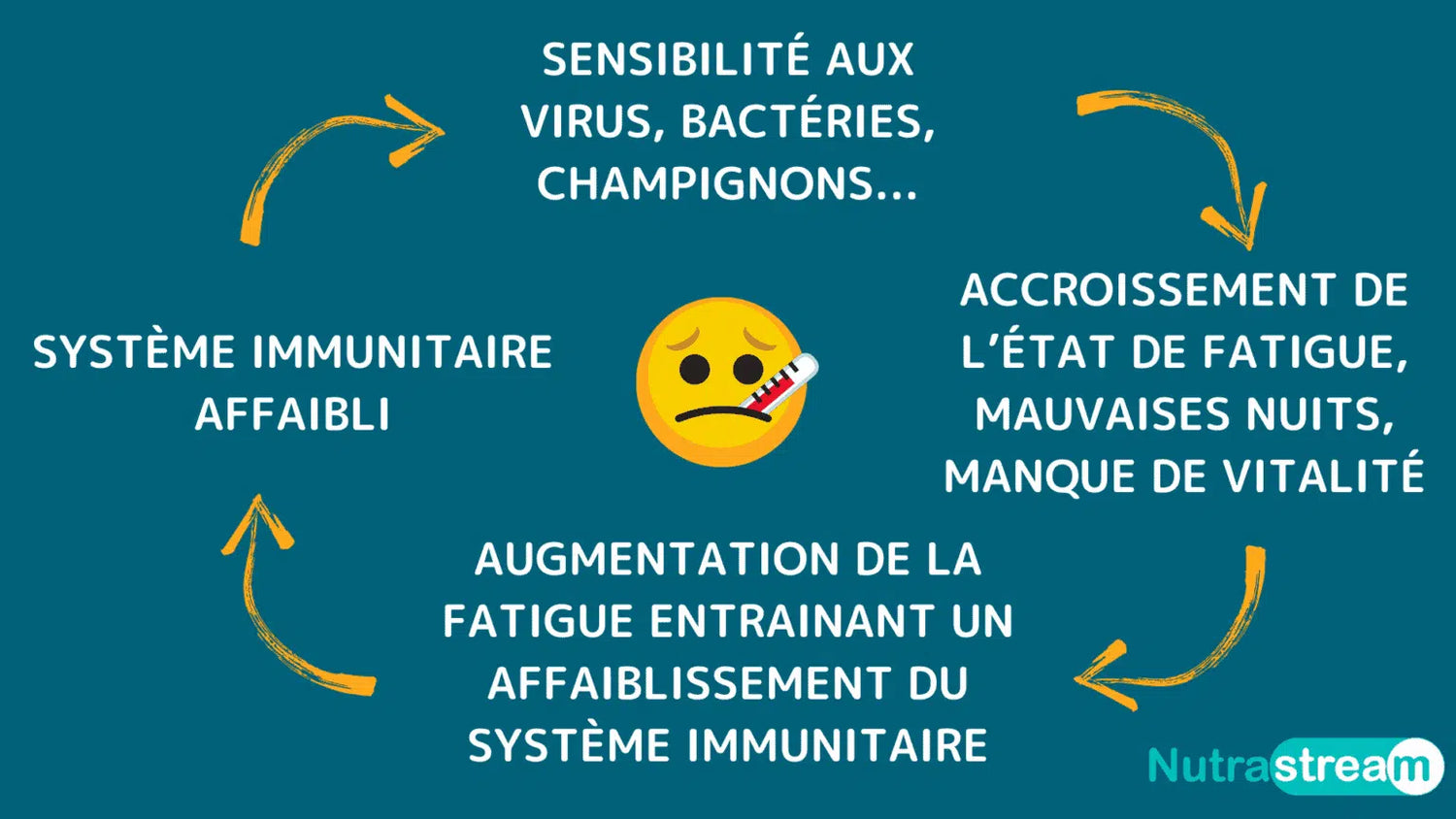 Plus on manque d'énergie, plus on se défend mal face au xvirus et aux bactéries, plus on se défend mal, et plus cela fatigue l'organisme