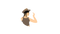 Avatar 2