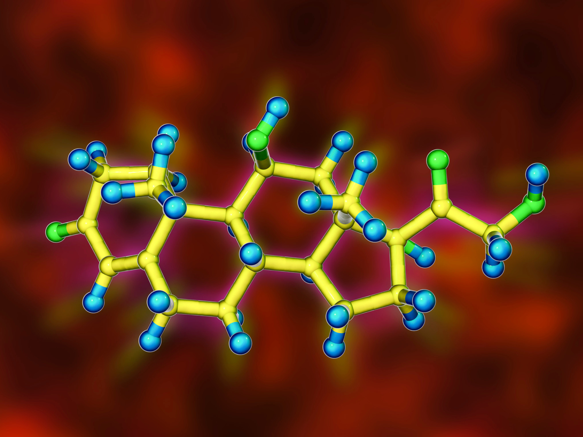 Cortisol définition image de la molécule