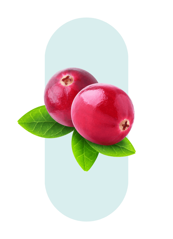 Cranberry