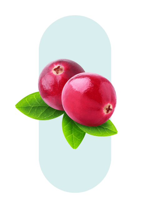 Cranberry