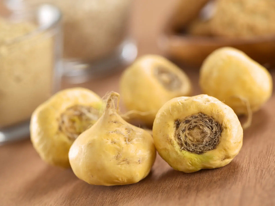 L’histoire de la maca : de sa découverte à sa démocratisation