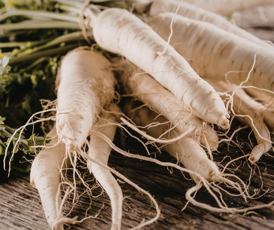 Ginseng blanc a ne pas confondre avec ginseng rouge sur une planche en bois