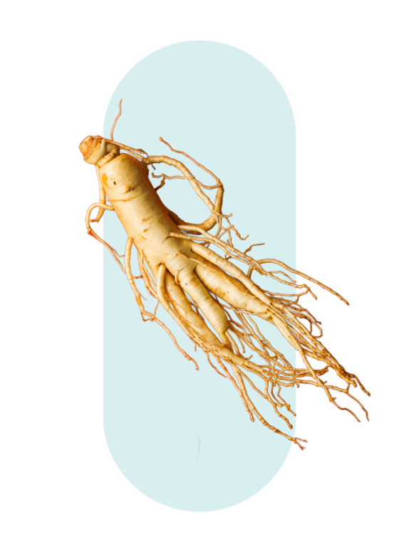 Ginseng guide ingrédient