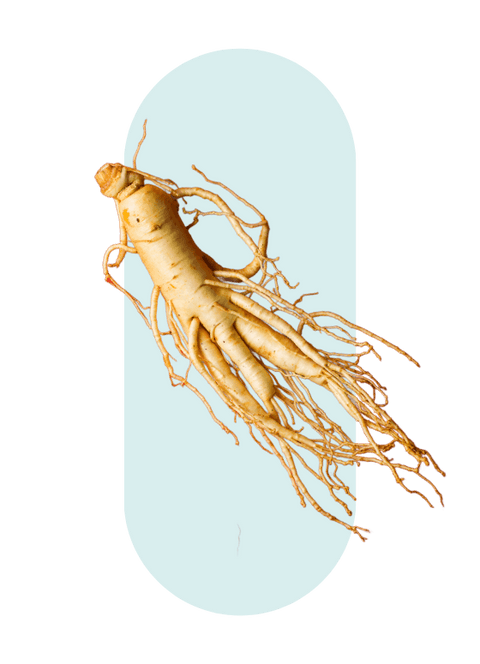 Ginseng
