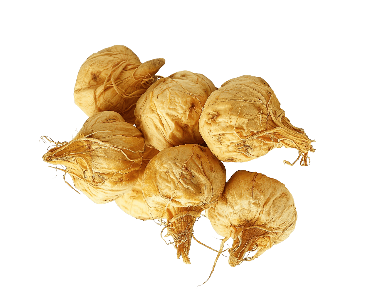 Tout savoir sur la Maca : bienfaits, propriétés, préparation et posologie