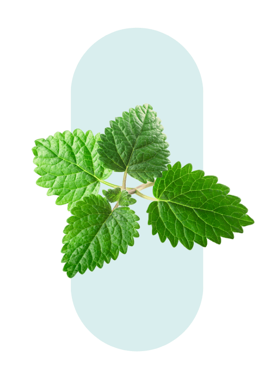 Nutrastream