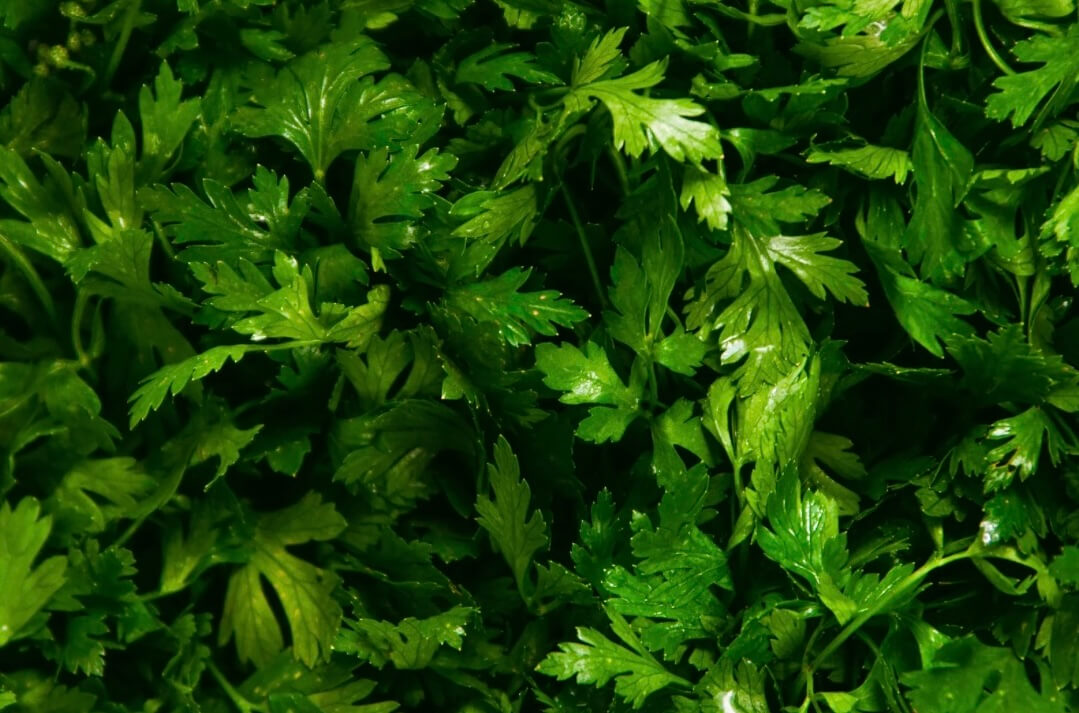 Rôle et bienfaits de cette super vitamine dans l’organisme