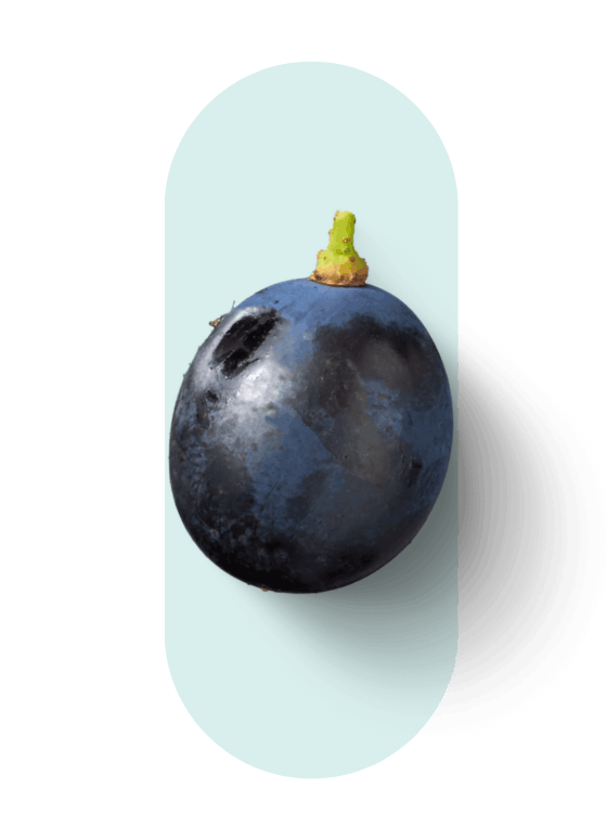 Resveratrol