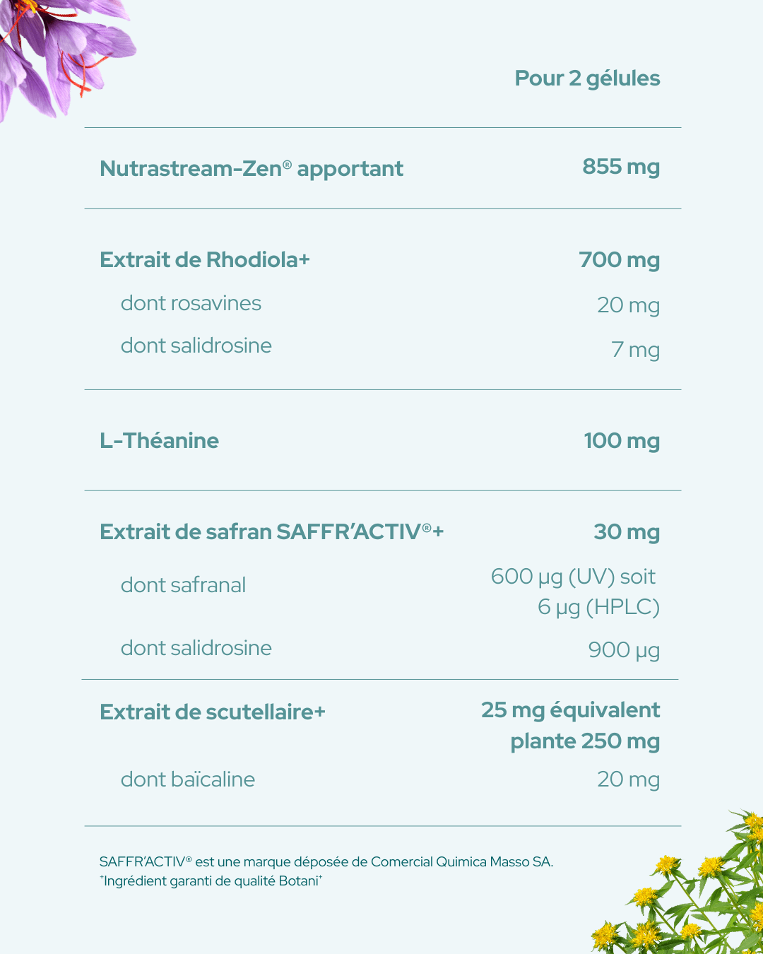 Stress Moral 5 - Nutrastream
