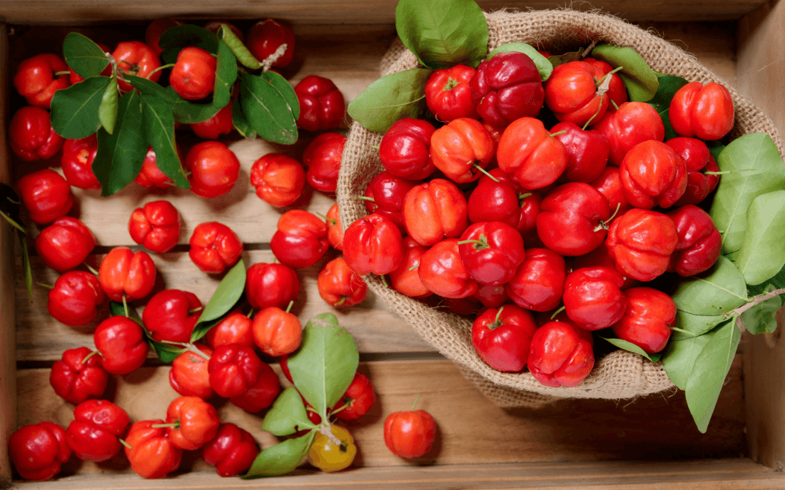 La vitamine C : l’histoire d’un actif étonnant