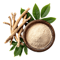 Ashwagandha - Tout savoir avec Nutrastream