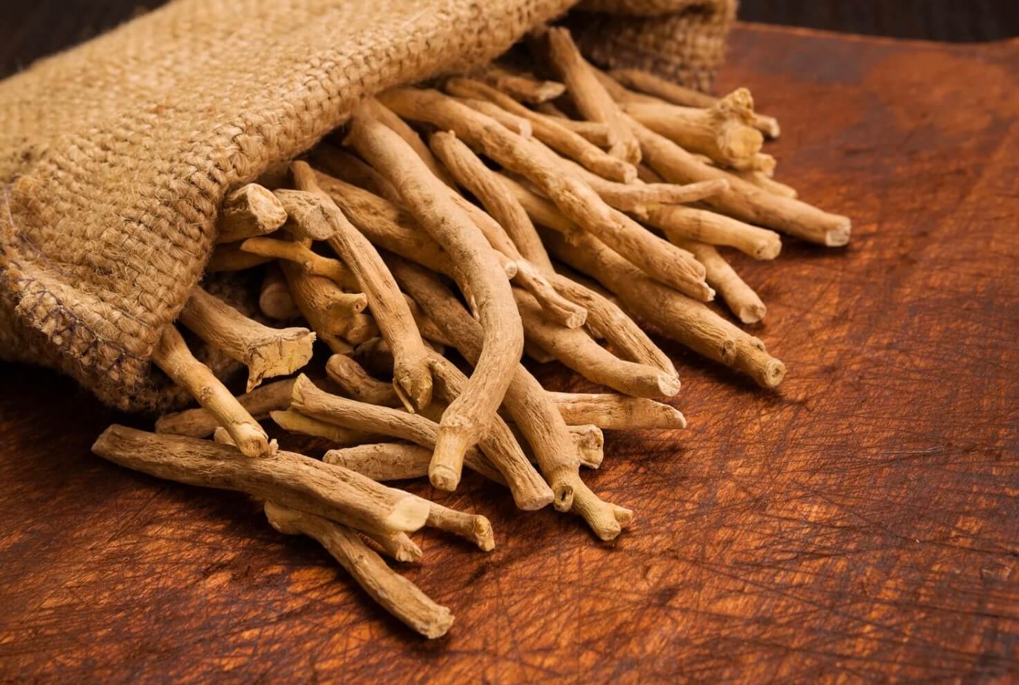 L'ASHWAGANDHA AUJOURD'HUI