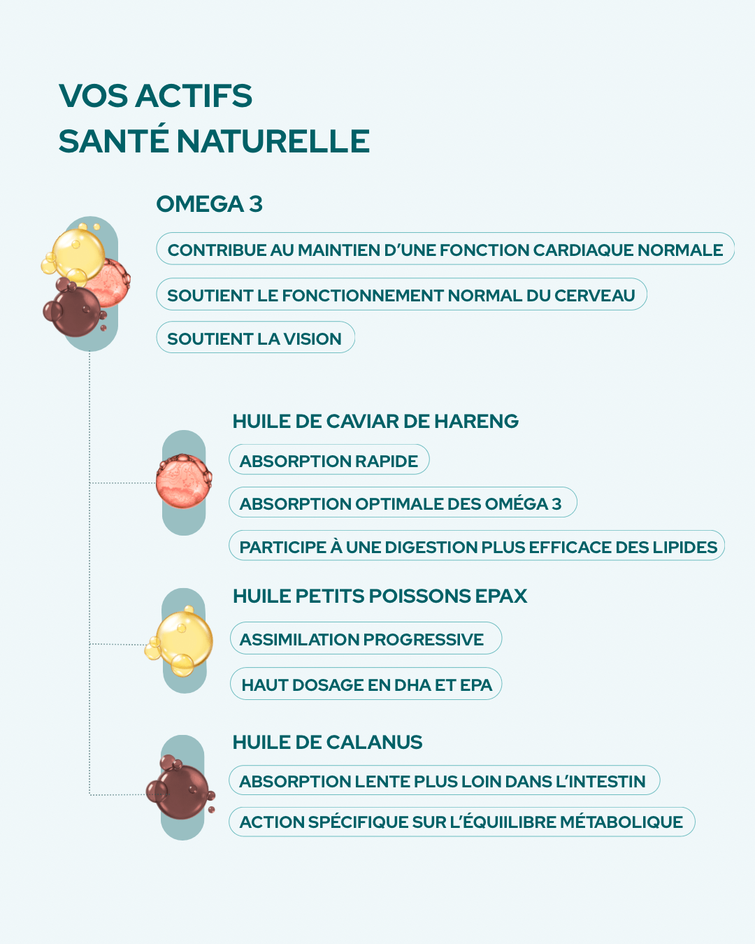 Omega 3 - Nutrastream
