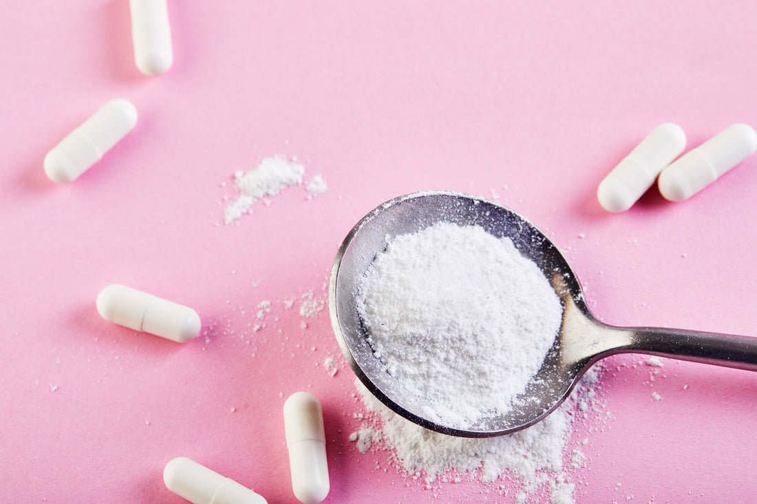 poudre de créatine et gélule de créatine pour le sport