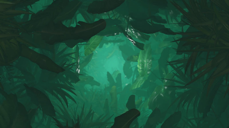Vidéo illustrative d'une avancée dans la jungle