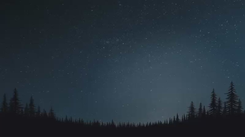 Charger la vidéo : Ciel étoilé haut-dessus d'un paysage forestier