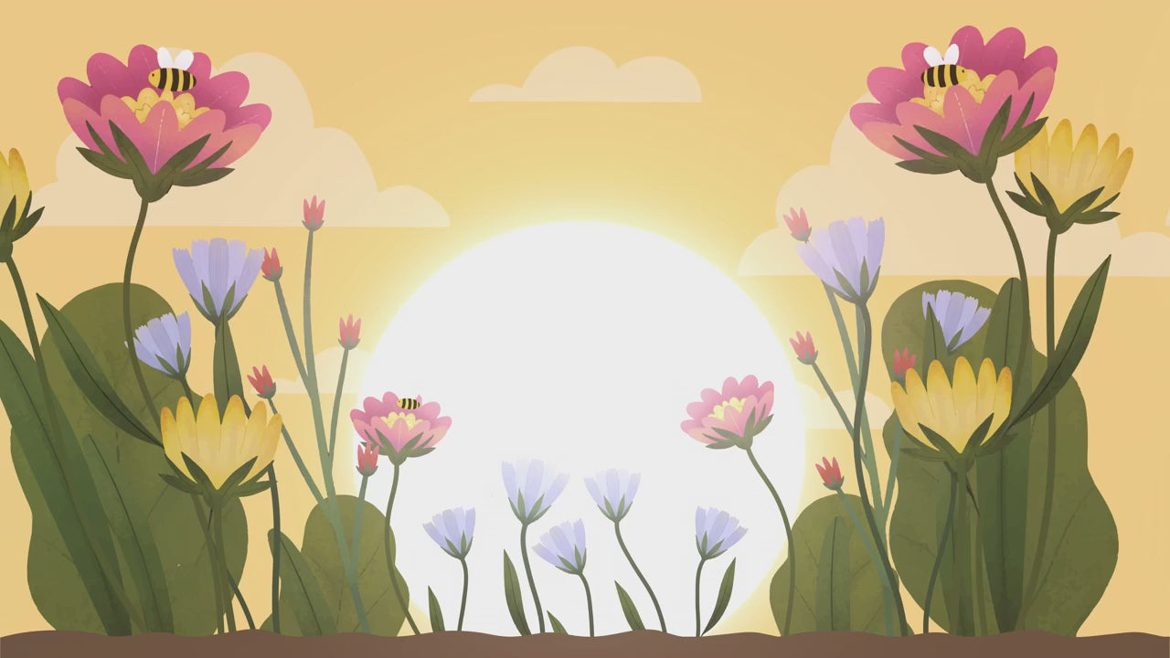 Charger la vidéo : Un environnement anti-déprime : Nutrastream vous dit tout