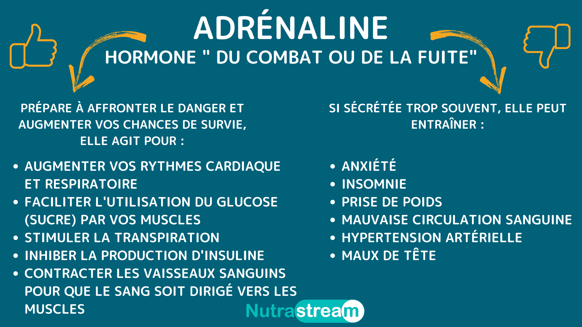 L'adrénaline ou hormone du combat ou de la fuite Nutrastream