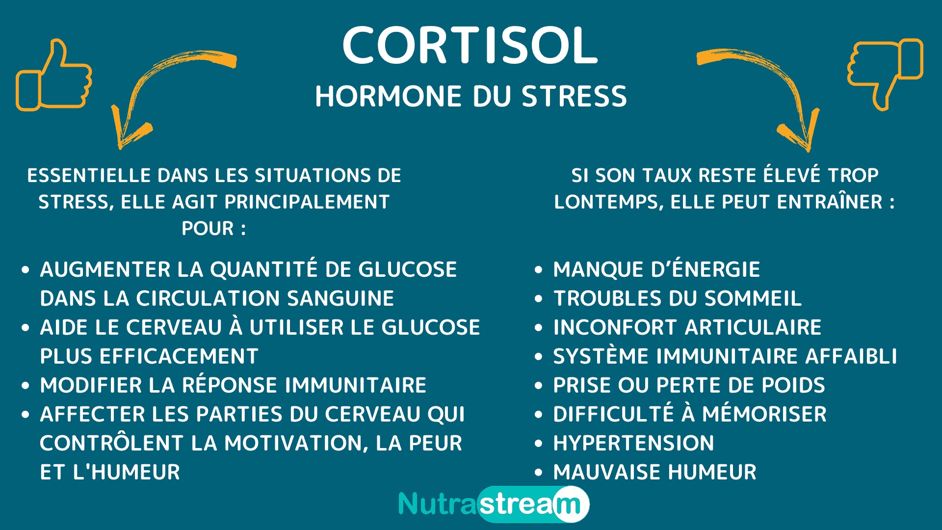 Cortisol, hormone du stress Nutrastream