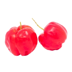 Acerola et vitamine C : tout savoir avec Nutrastream