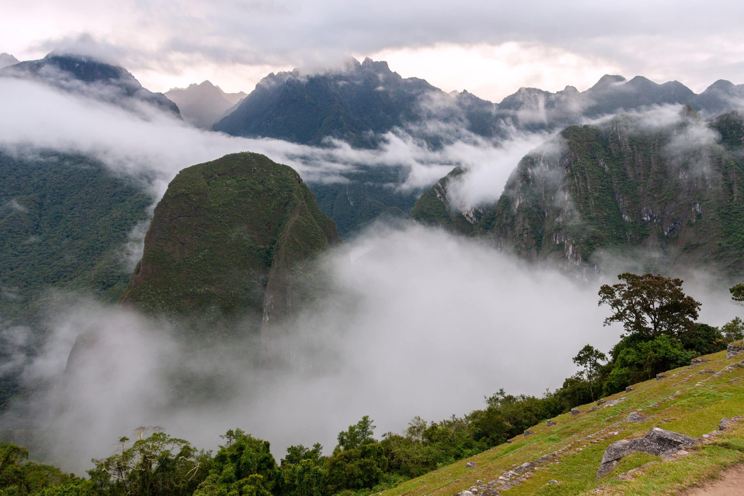 Bienfaits et posologie de la maca qui poussent au Pérou, dans les Andes